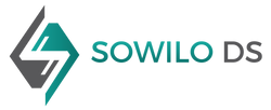 Sowilo DS company logo